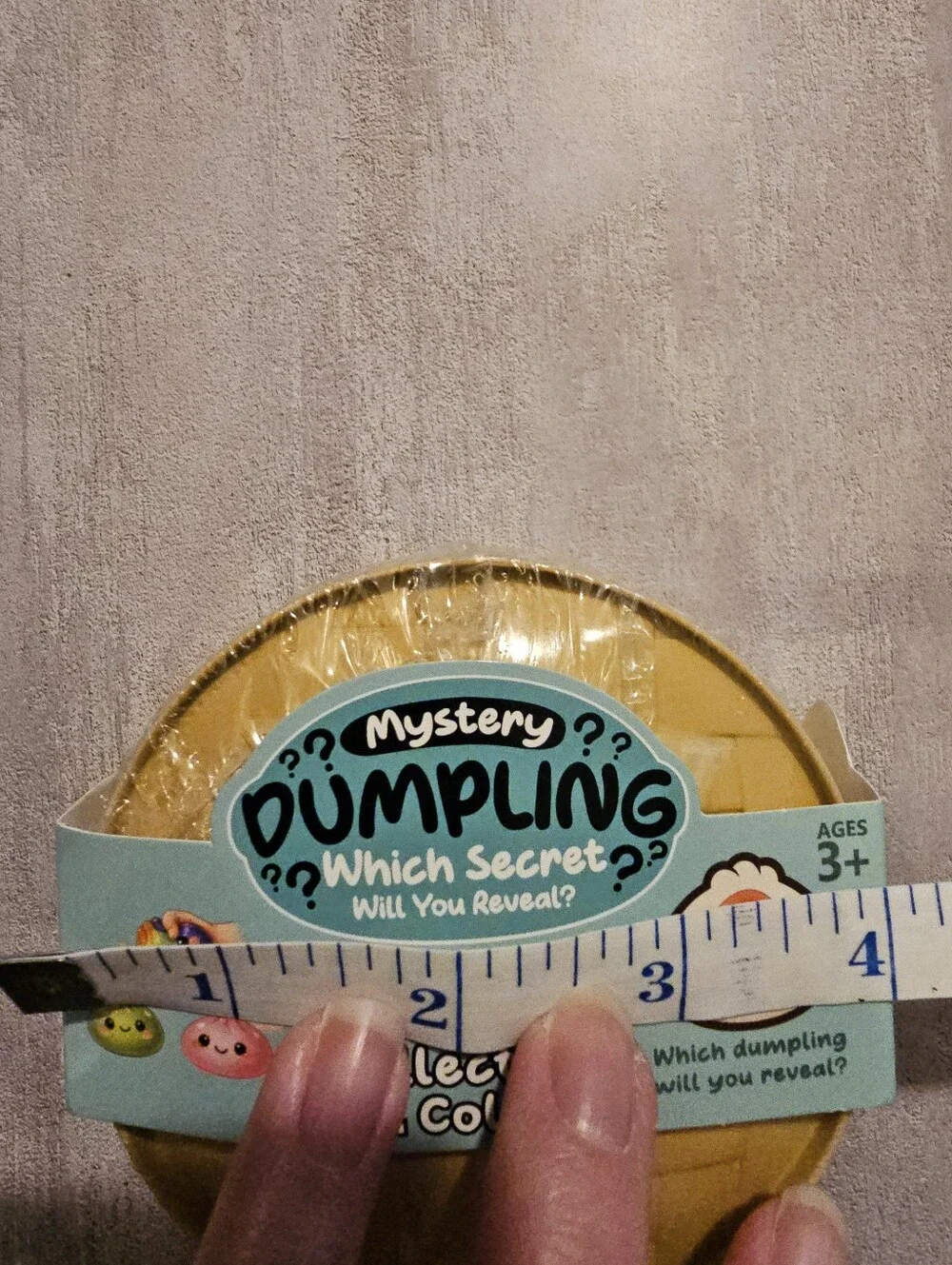 Mystery Dumpling Unopened